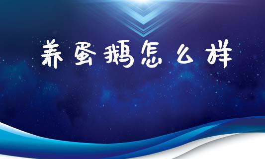养蛋鹅怎么样_https://m.eyunqq.com_新股申购_第1张