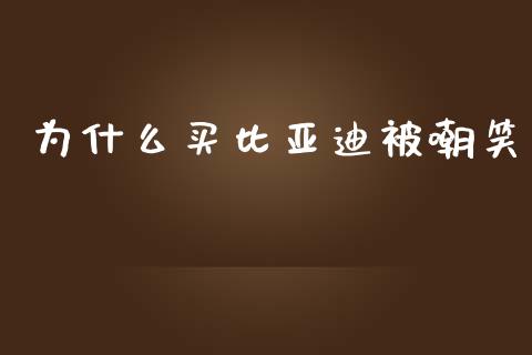 为什么买比亚迪被嘲笑_https://m.eyunqq.com_融资融券_第1张