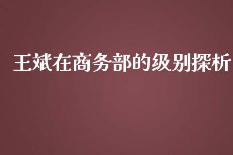 王斌在商务部的级别探析_https://m.eyunqq.com_期货投资学习_第1张