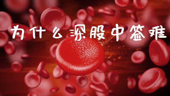 为什么深股中签难_https://m.eyunqq.com_融资融券_第1张