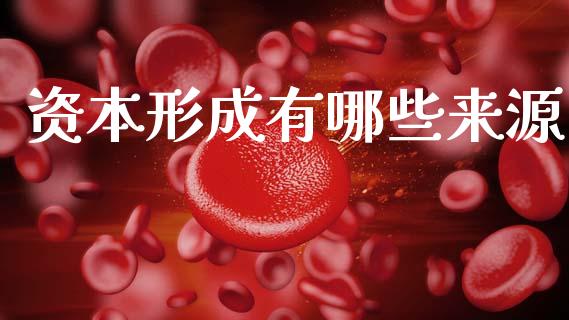 资本形成有哪些来源_https://m.eyunqq.com_期货投资学习_第1张