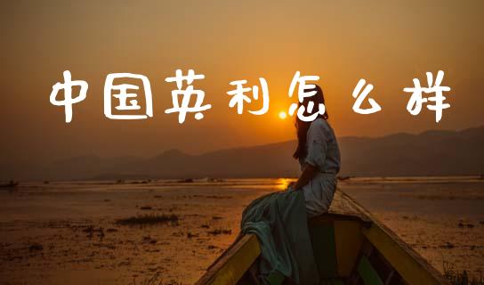 中国英利怎么样_https://m.eyunqq.com_期货投资学习_第1张
