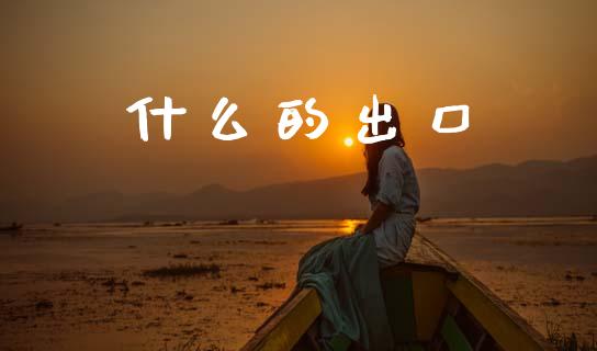 什么的出口_https://m.eyunqq.com_基金交易_第1张