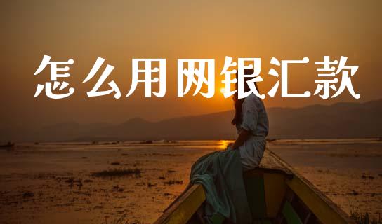怎么用网银汇款_https://m.eyunqq.com_融资融券_第1张