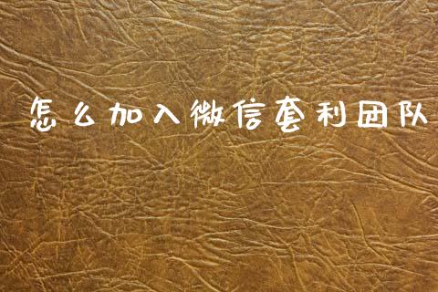怎么加入微信套利团队_https://m.eyunqq.com_融资融券_第1张