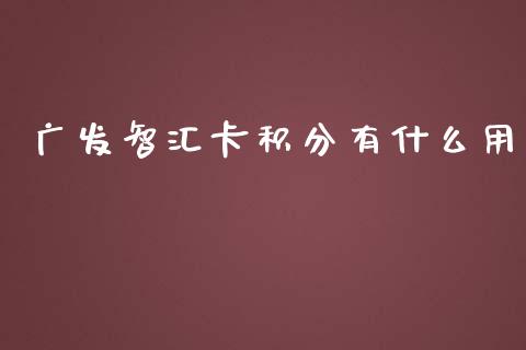 广发智汇卡积分有什么用_https://m.eyunqq.com_新股申购_第1张