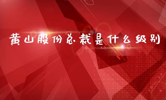 黄山股份总裁是什么级别_https://m.eyunqq.com_期货投资学习_第1张