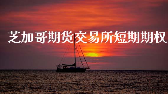 芝加哥期货交易所短期期权_https://m.eyunqq.com_基金交易_第1张
