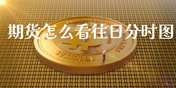 期货怎么看往日分时图_https://m.eyunqq.com_期货投资学习_第1张