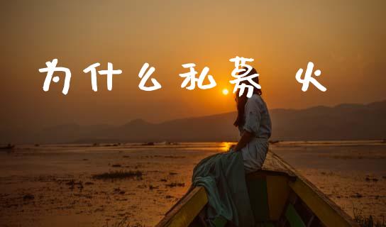 为什么私募 火_https://m.eyunqq.com_融资融券_第1张