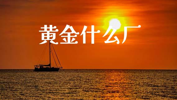 黄金什么厂_https://m.eyunqq.com_期货投资学习_第1张