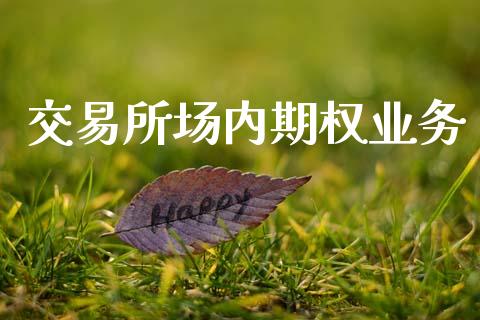 交易所场内期权业务_https://m.eyunqq.com_新股申购_第1张