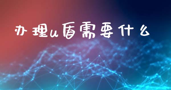 办理u盾需要什么_https://m.eyunqq.com_期货投资学习_第1张
