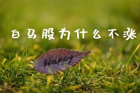 白马股为什么不涨_https://m.eyunqq.com_融资融券_第1张