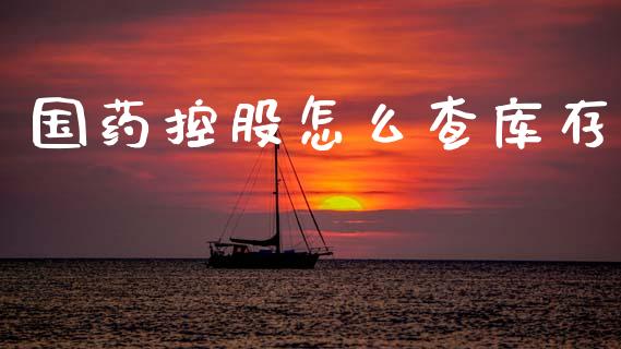 国药控股怎么查库存_https://m.eyunqq.com_期货投资学习_第1张