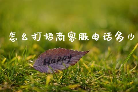 怎么打招商客服电话多少_https://m.eyunqq.com_融资融券_第1张