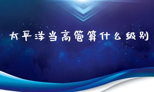 太平洋当高管算什么级别_https://m.eyunqq.com_融资融券_第1张