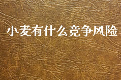 小麦有什么竞争风险_https://m.eyunqq.com_期货投资学习_第1张