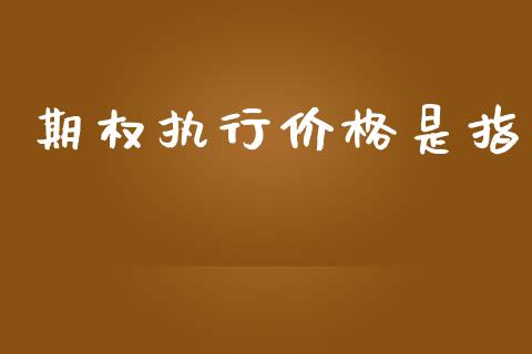期权执行价格是指_https://m.eyunqq.com_基金交易_第1张