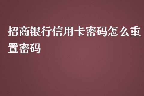 招商银行信用卡密码怎么重置密码_https://m.eyunqq.com_期货投资学习_第1张