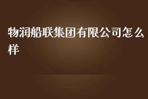 物润船联集团有限公司怎么样_https://m.eyunqq.com_新股申购_第1张