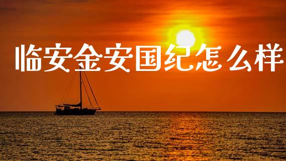 临安金安国纪怎么样_https://m.eyunqq.com_融资融券_第1张