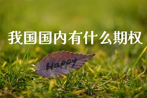我国国内有什么期权_https://m.eyunqq.com_期货投资学习_第1张
