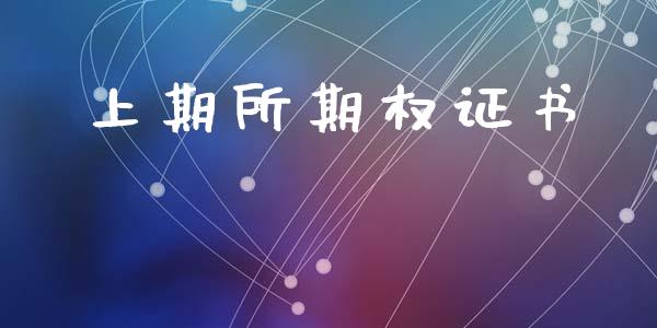 上期所期权证书_https://m.eyunqq.com_融资融券_第1张