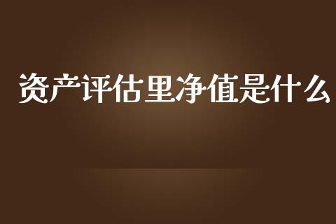 资产评估里净值是什么_https://m.eyunqq.com_期货投资学习_第1张