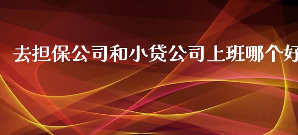 去担保公司和小贷公司上班哪个好_https://m.eyunqq.com_融资融券_第1张