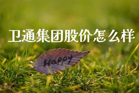 卫通集团股价怎么样_https://m.eyunqq.com_基金交易_第1张