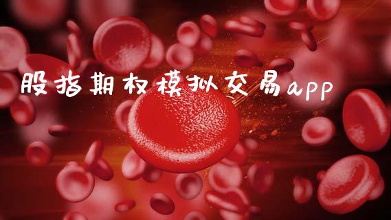 股指期权模拟交易app_https://m.eyunqq.com_期货投资学习_第1张