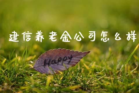 建信养老金公司怎么样_https://m.eyunqq.com_新股申购_第1张