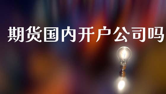 期货国内开户公司吗_https://m.eyunqq.com_基金交易_第1张