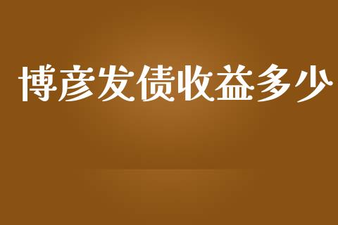 博彦发债收益多少_https://m.eyunqq.com_期货投资学习_第1张