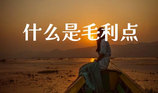 什么是毛利点_https://m.eyunqq.com_新股申购_第1张