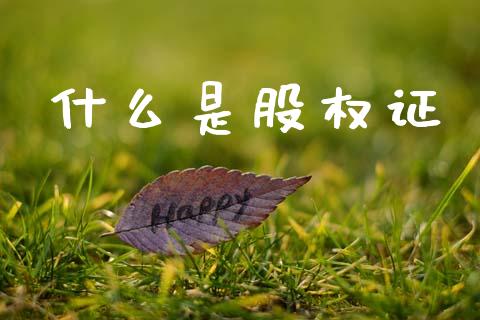 什么是股权证_https://m.eyunqq.com_融资融券_第1张