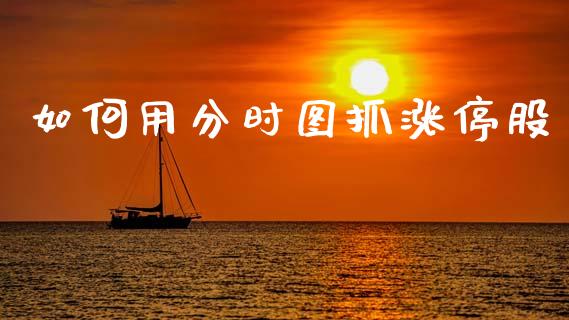 如何用分时图抓涨停股_https://m.eyunqq.com_基金交易_第1张