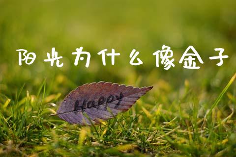 阳光为什么像金子_https://m.eyunqq.com_基金交易_第1张
