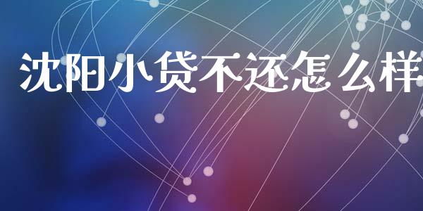 沈阳小贷不还怎么样_https://m.eyunqq.com_新股申购_第1张