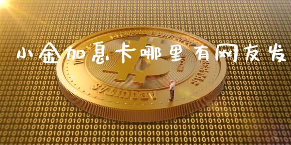 小金加息卡哪里有网友发_https://m.eyunqq.com_基金交易_第1张