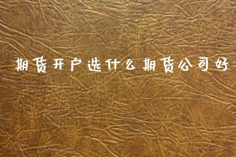 期货开户选什么期货公司好_https://m.eyunqq.com_基金交易_第1张