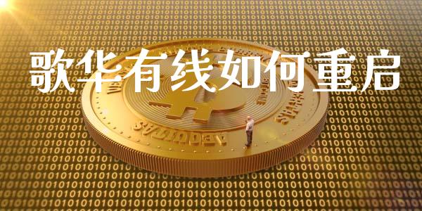 歌华有线如何重启_https://m.eyunqq.com_期货投资学习_第1张