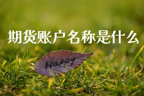 期货账户名称是什么_https://m.eyunqq.com_融资融券_第1张