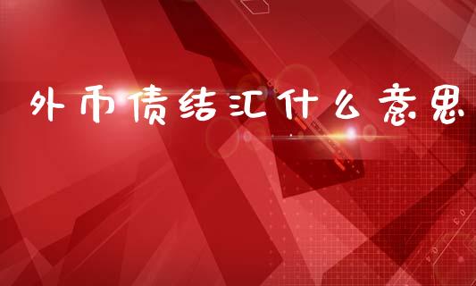 外币债结汇什么意思_https://m.eyunqq.com_融资融券_第1张