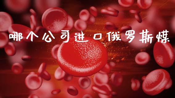 哪个公司进口俄罗斯煤_https://m.eyunqq.com_期货投资学习_第1张