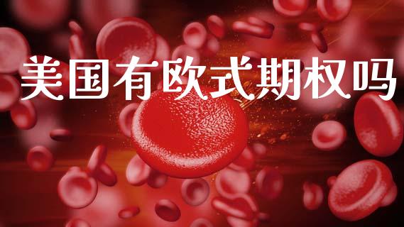 美国有欧式期权吗_https://m.eyunqq.com_基金交易_第1张