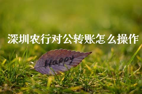 深圳农行对公转账怎么操作_https://m.eyunqq.com_基金交易_第1张