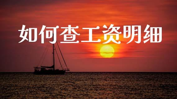 如何查工资明细_https://m.eyunqq.com_新股申购_第1张