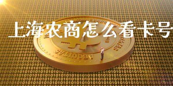 上海农商怎么看卡号_https://m.eyunqq.com_新股申购_第1张
